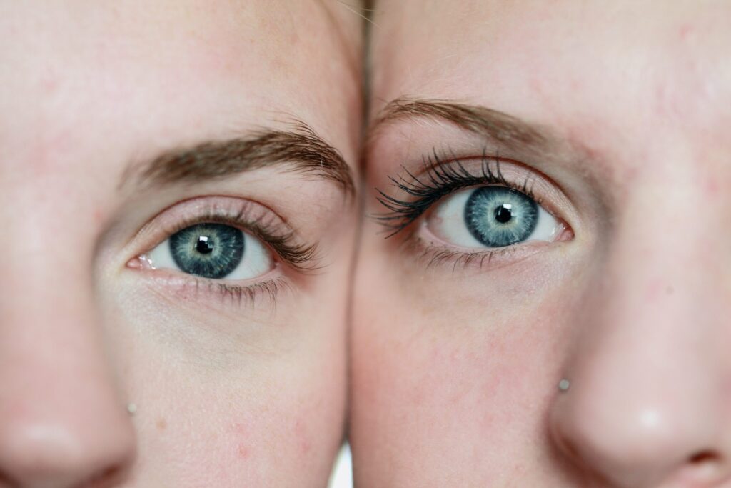 comparing similar faces