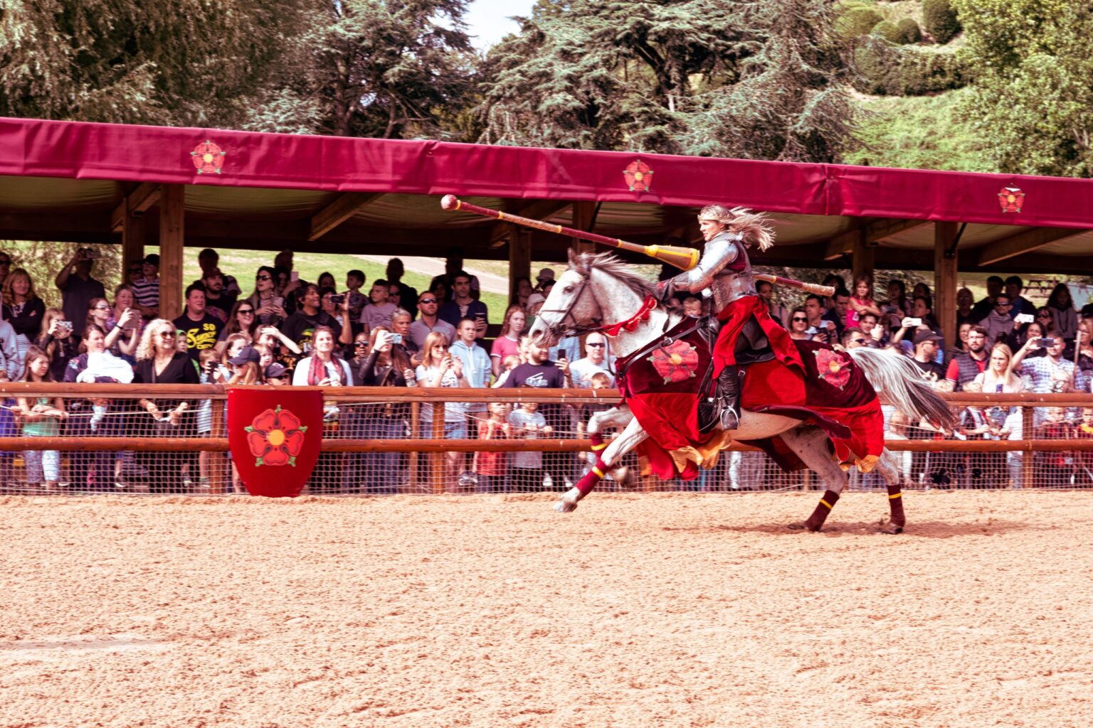 jousters defending their honour on horseback