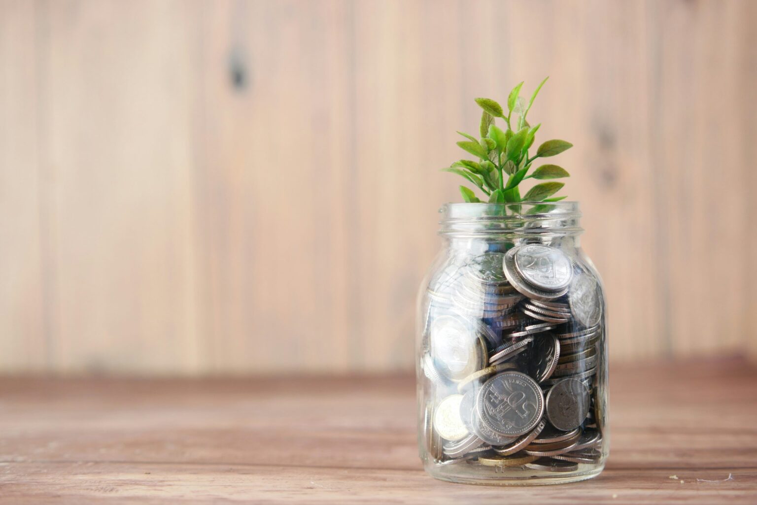 a pot of cash with a sprout growing, implying growth in investment