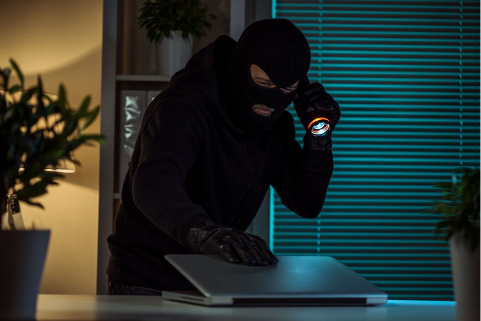 robber with a torch, looking at a laptop computer